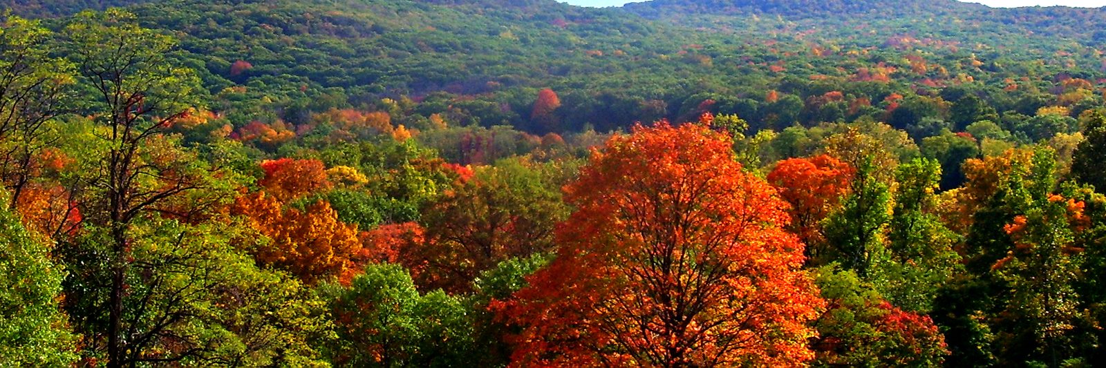 Things to Do in the Laurel Highlands